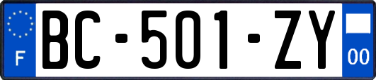 BC-501-ZY