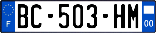 BC-503-HM
