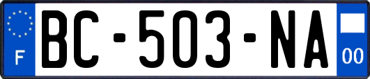 BC-503-NA