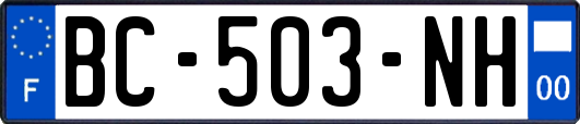 BC-503-NH