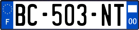 BC-503-NT