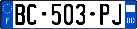 BC-503-PJ