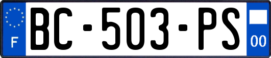 BC-503-PS