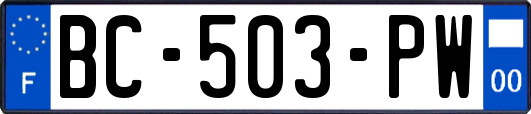 BC-503-PW