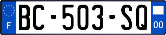 BC-503-SQ