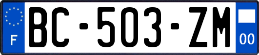 BC-503-ZM