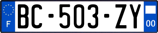 BC-503-ZY