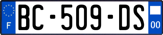 BC-509-DS