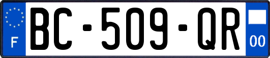 BC-509-QR