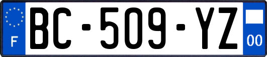 BC-509-YZ