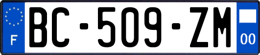 BC-509-ZM