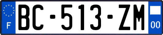 BC-513-ZM