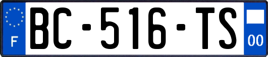 BC-516-TS