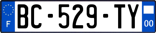 BC-529-TY