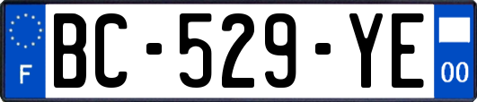 BC-529-YE