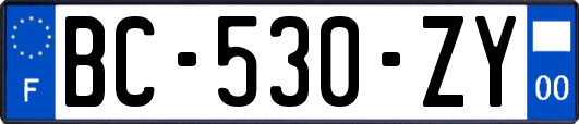 BC-530-ZY