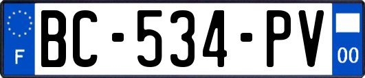BC-534-PV