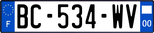 BC-534-WV