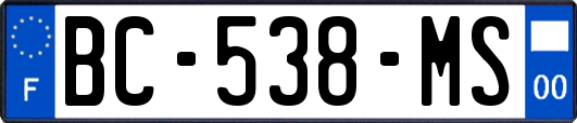 BC-538-MS