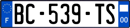 BC-539-TS