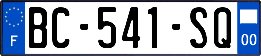 BC-541-SQ