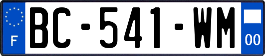 BC-541-WM