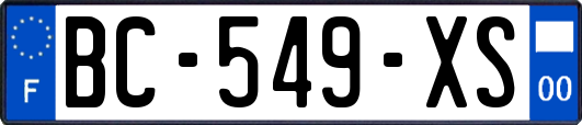 BC-549-XS