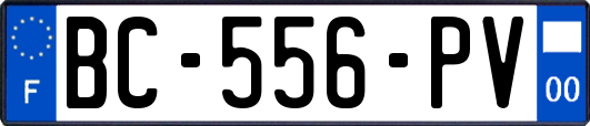 BC-556-PV