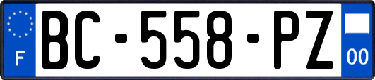 BC-558-PZ