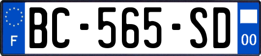 BC-565-SD