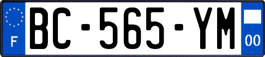 BC-565-YM