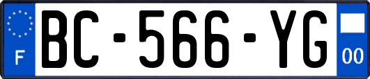 BC-566-YG