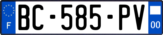 BC-585-PV