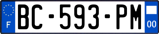 BC-593-PM