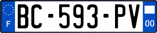 BC-593-PV
