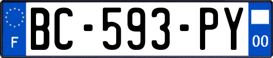 BC-593-PY