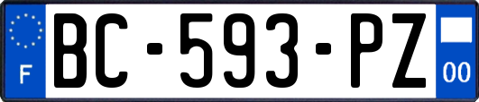 BC-593-PZ