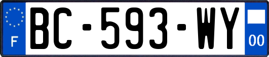 BC-593-WY