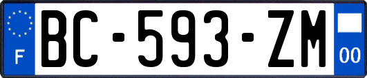 BC-593-ZM