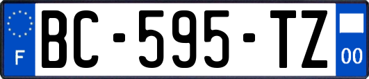 BC-595-TZ