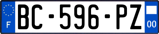 BC-596-PZ