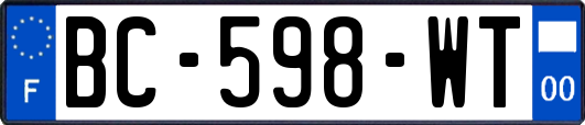 BC-598-WT