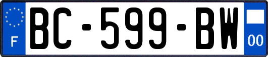 BC-599-BW