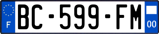 BC-599-FM