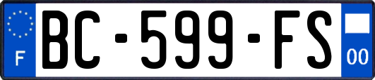 BC-599-FS