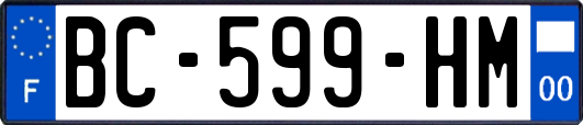 BC-599-HM