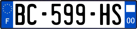 BC-599-HS