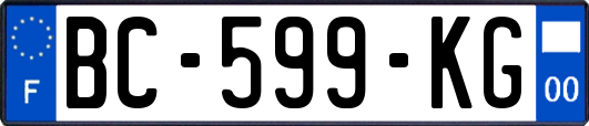 BC-599-KG