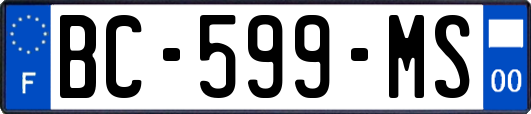 BC-599-MS