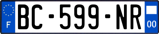 BC-599-NR